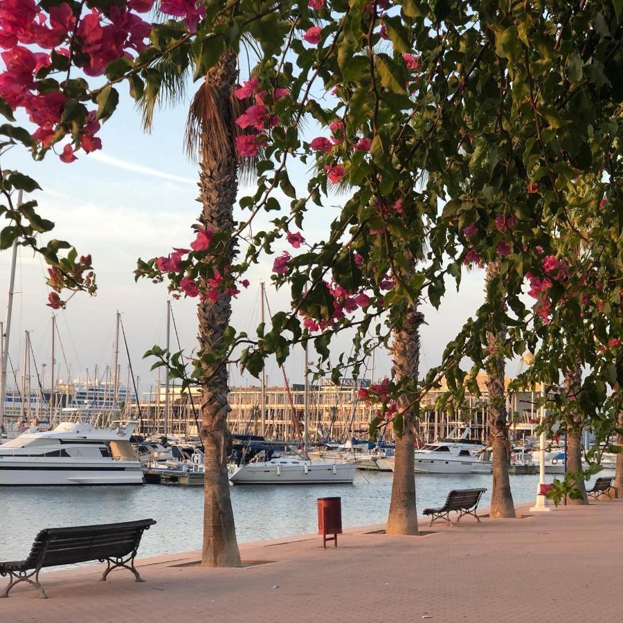 35-3- Комната В Квартире Для Семьи От 1 До 4 Человек В Центре Аликанте Alicante Ngoại thất bức ảnh